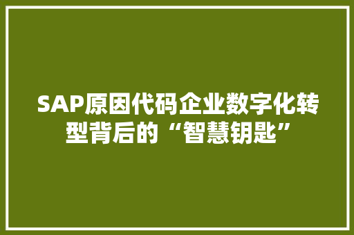SAP原因代码企业数字化转型背后的“智慧钥匙”