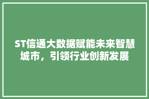 ST信通大数据赋能未来智慧城市，引领行业创新发展