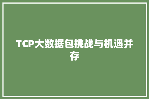 TCP大数据包挑战与机遇并存