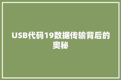 USB代码19数据传输背后的奥秘