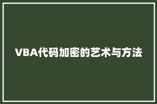 VBA代码加密的艺术与方法