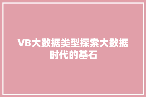 VB大数据类型探索大数据时代的基石