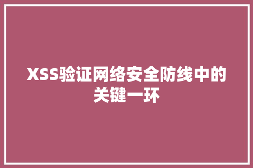 XSS验证网络安全防线中的关键一环