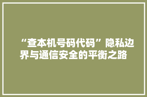“查本机号码代码”隐私边界与通信安全的平衡之路
