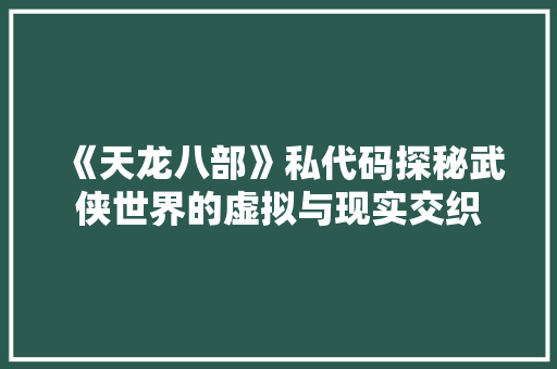 《天龙八部》私代码探秘武侠世界的虚拟与现实交织
