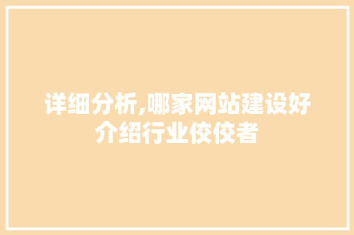 详细分析,哪家网站建设好介绍行业佼佼者