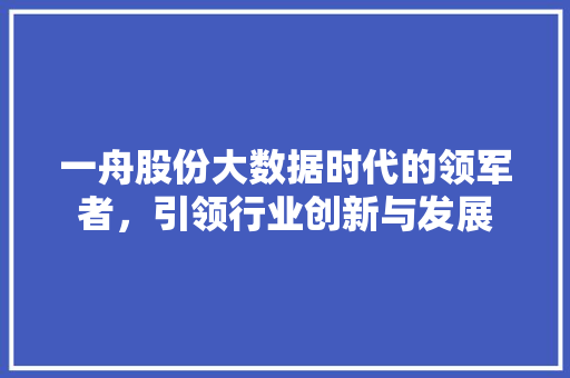 一舟股份大数据时代的领军者，引领行业创新与发展