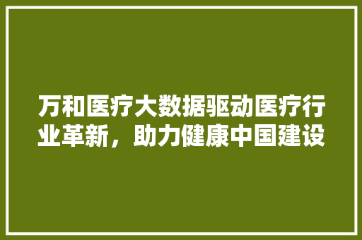 万和医疗大数据驱动医疗行业革新，助力健康中国建设 服务器/数据库