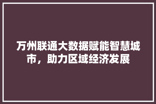万州联通大数据赋能智慧城市，助力区域经济发展