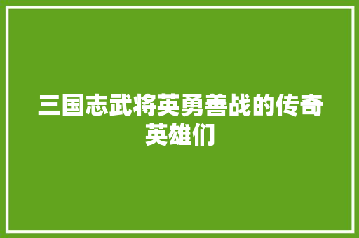 三国志武将英勇善战的传奇英雄们