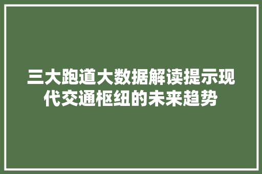 三大跑道大数据解读提示现代交通枢纽的未来趋势