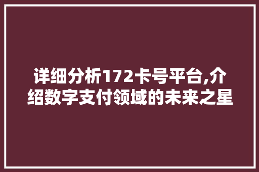 详细分析172卡号平台,介绍数字支付领域的未来之星