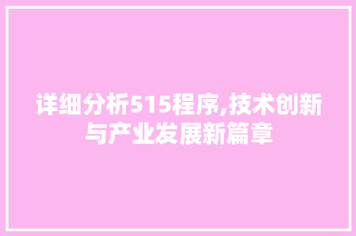 详细分析515程序,技术创新与产业发展新篇章