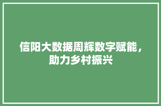 信阳大数据周辉数字赋能，助力乡村振兴