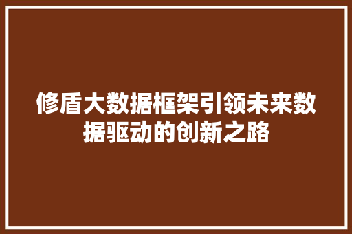修盾大数据框架引领未来数据驱动的创新之路 服务器/数据库