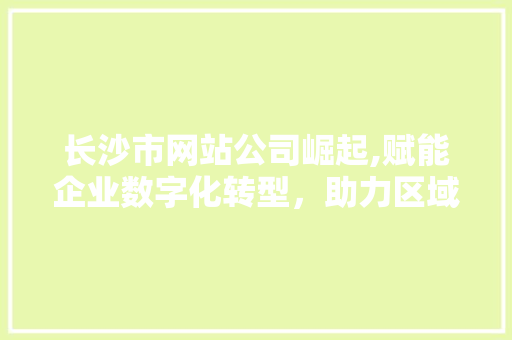 长沙市网站公司崛起,赋能企业数字化转型，助力区域经济发展