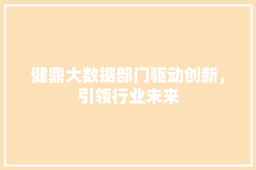 健鼎大数据部门驱动创新，引领行业未来