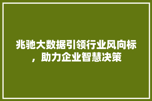 兆驰大数据引领行业风向标，助力企业智慧决策
