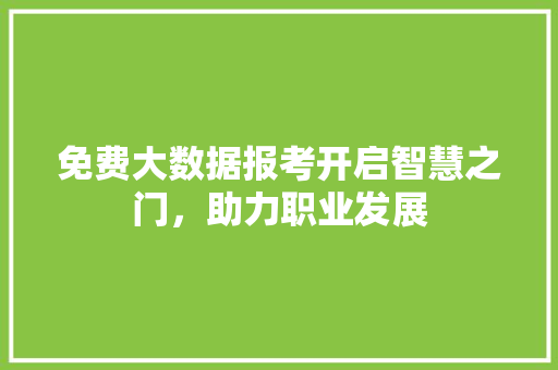免费大数据报考开启智慧之门，助力职业发展 SEO教程