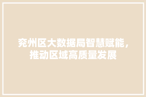 兖州区大数据局智慧赋能，推动区域高质量发展 服务器/数据库