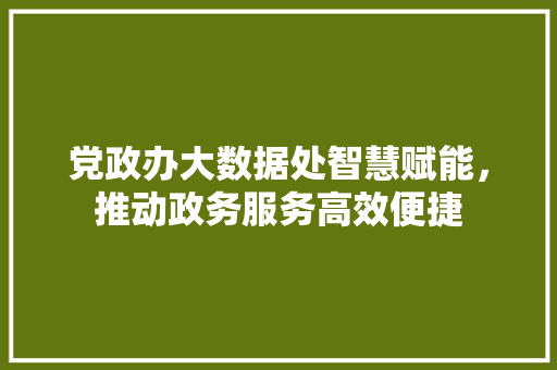 党政办大数据处智慧赋能，推动政务服务高效便捷 建站教程