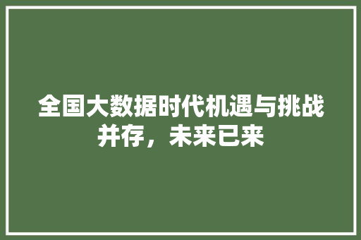 全国大数据时代机遇与挑战并存，未来已来 WordPress教程