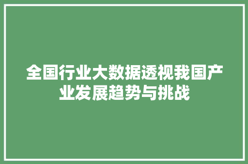 全国行业大数据透视我国产业发展趋势与挑战