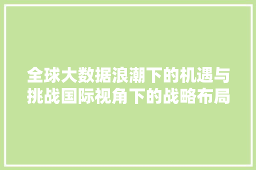 全球大数据浪潮下的机遇与挑战国际视角下的战略布局