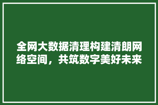 全网大数据清理构建清朗网络空间，共筑数字美好未来 WordPress教程