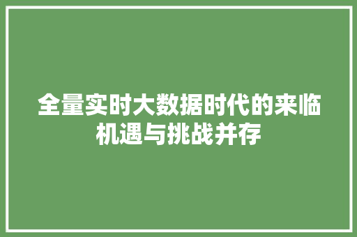 全量实时大数据时代的来临机遇与挑战并存