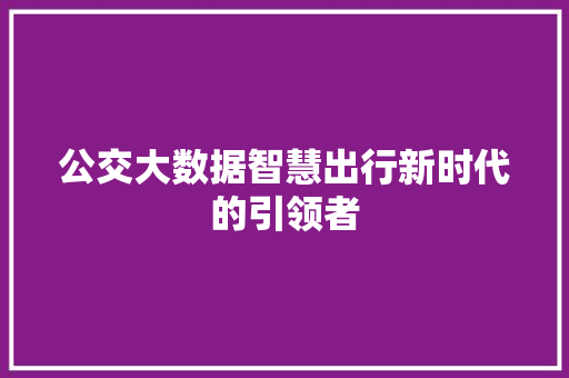 公交大数据智慧出行新时代的引领者