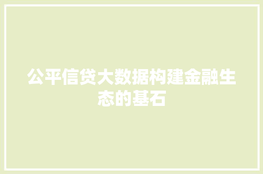 公平信贷大数据构建金融生态的基石