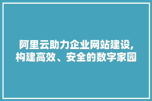 阿里云助力企业网站建设,构建高效、安全的数字家园