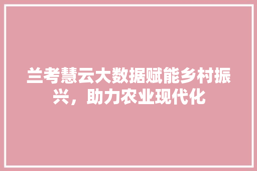 兰考慧云大数据赋能乡村振兴，助力农业现代化