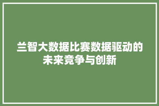 兰智大数据比赛数据驱动的未来竞争与创新