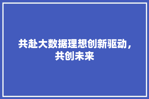 共赴大数据理想创新驱动，共创未来