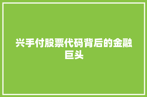 兴手付股票代码背后的金融巨头 WordPress教程