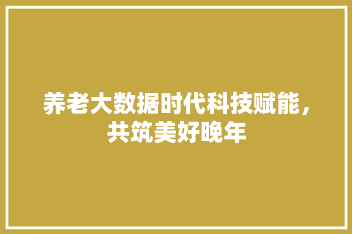 养老大数据时代科技赋能，共筑美好晚年