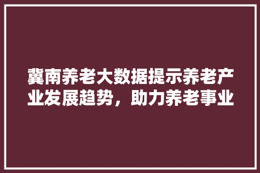 冀南养老大数据提示养老产业发展趋势，助力养老事业迈向新篇章