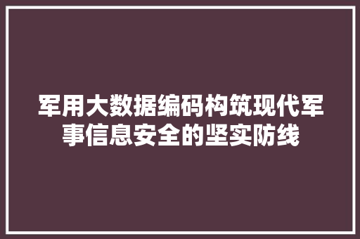 军用大数据编码构筑现代军事信息安全的坚实防线