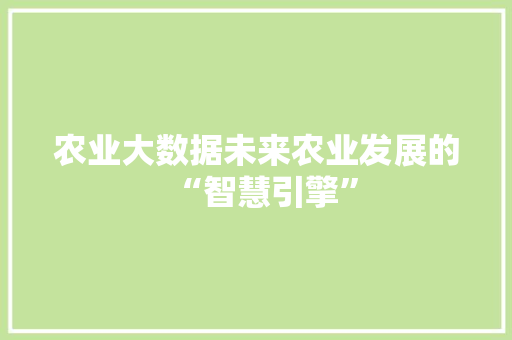 农业大数据未来农业发展的“智慧引擎”