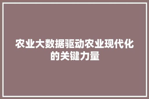 农业大数据驱动农业现代化的关键力量