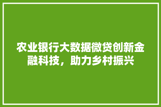 农业银行大数据微贷创新金融科技，助力乡村振兴