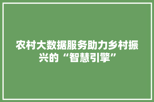 农村大数据服务助力乡村振兴的“智慧引擎”