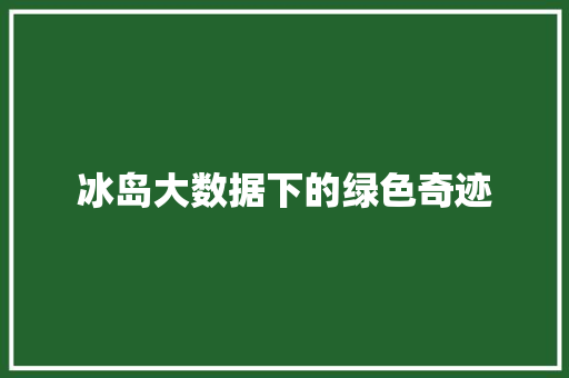 冰岛大数据下的绿色奇迹