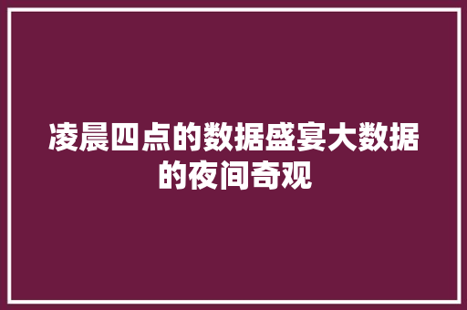 凌晨四点的数据盛宴大数据的夜间奇观 服务器/数据库