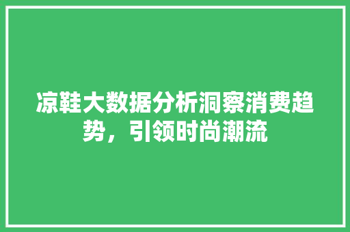 凉鞋大数据分析洞察消费趋势，引领时尚潮流