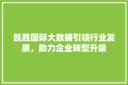 凯胜国际大数据引领行业发展，助力企业转型升级