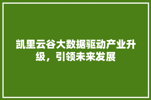 凯里云谷大数据驱动产业升级，引领未来发展