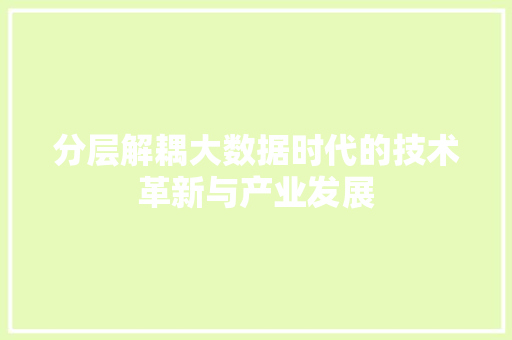 分层解耦大数据时代的技术革新与产业发展